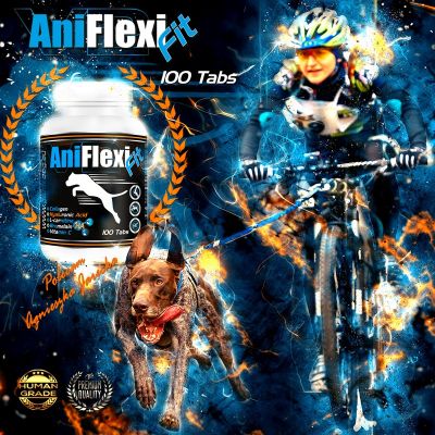AniFlexi Fit V2 (100 tabletek)