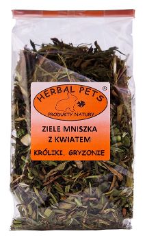 herbal-pets-ziele-mniszka-z-kwiatem-kroliki-gryzonie
