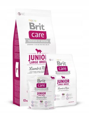 karma sucha dla psa brit care junior duże rasy brit care jagnięcina z ryżem