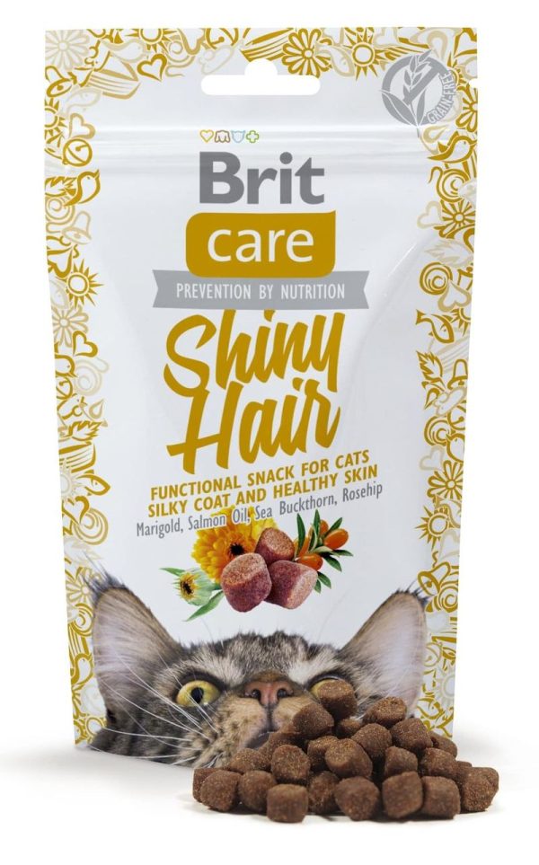 przysmak dla kota brit care shiny hair