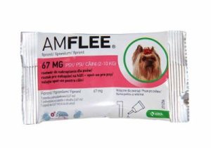 AMFLEE Spot On
