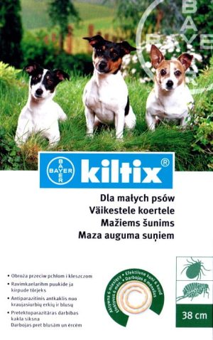 Bayer Kiltix obroża dla małych psów 38 cm
