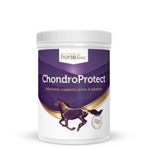 suplementy dla koni pokusa chondro protect