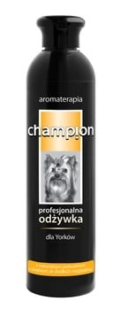 champion odżywka dla yorka