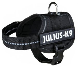 szelki-julus-k9-baby1-xs-czarne