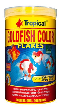 TROPICAL Goldfish Color