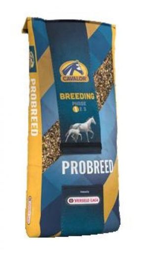 Versele-Laga Cavalor Probreed 20 kg - muesli dla źrebiąt i klaczy w okresie ciąży i laktacji